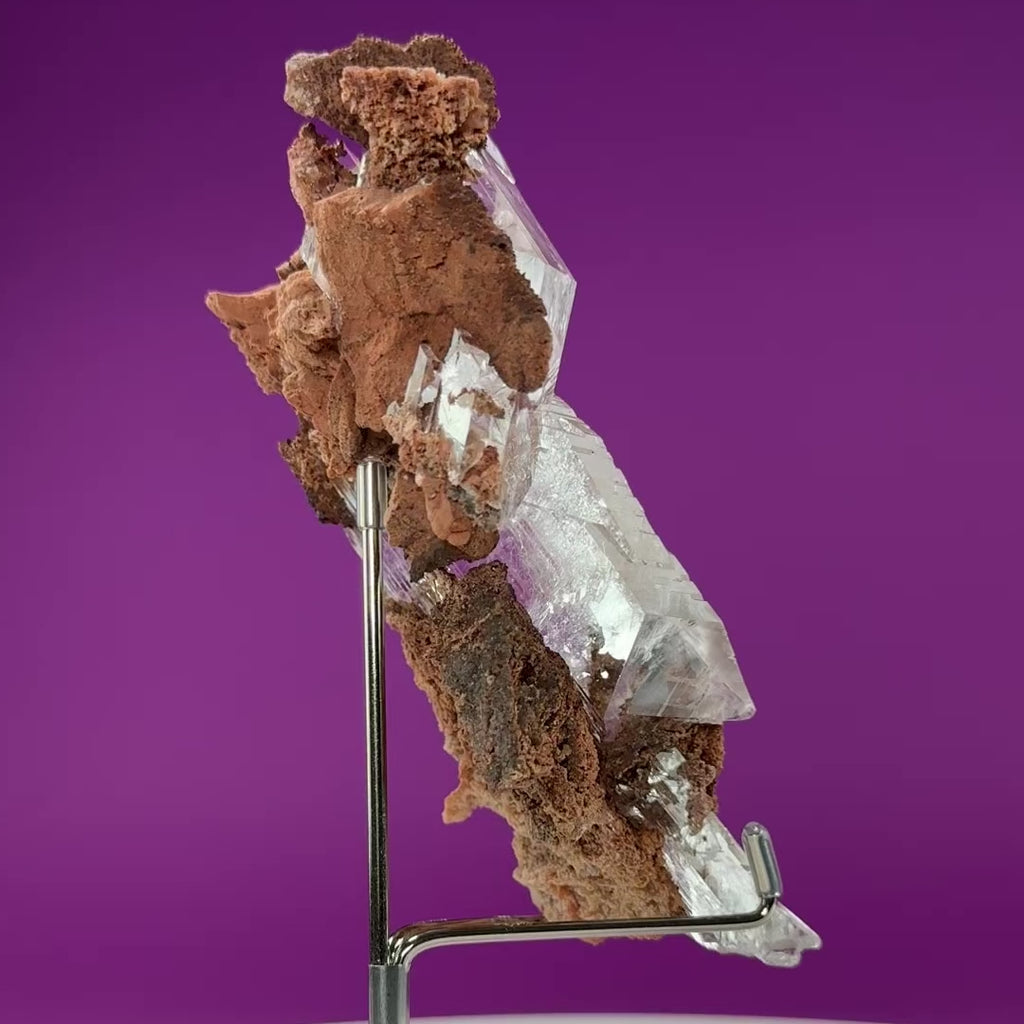 Selenite on Matrix (Bermejillo, Durango, Mexico) | Collector Specimen with Stand