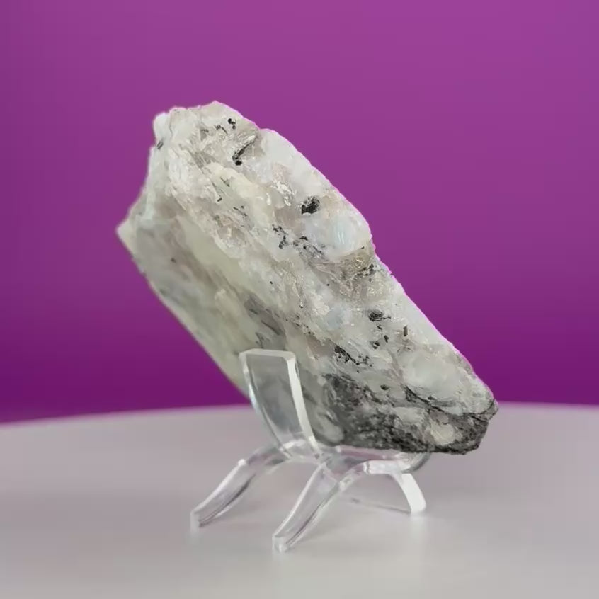Rainbow Moonstone Slice with Acrylic Display Stand