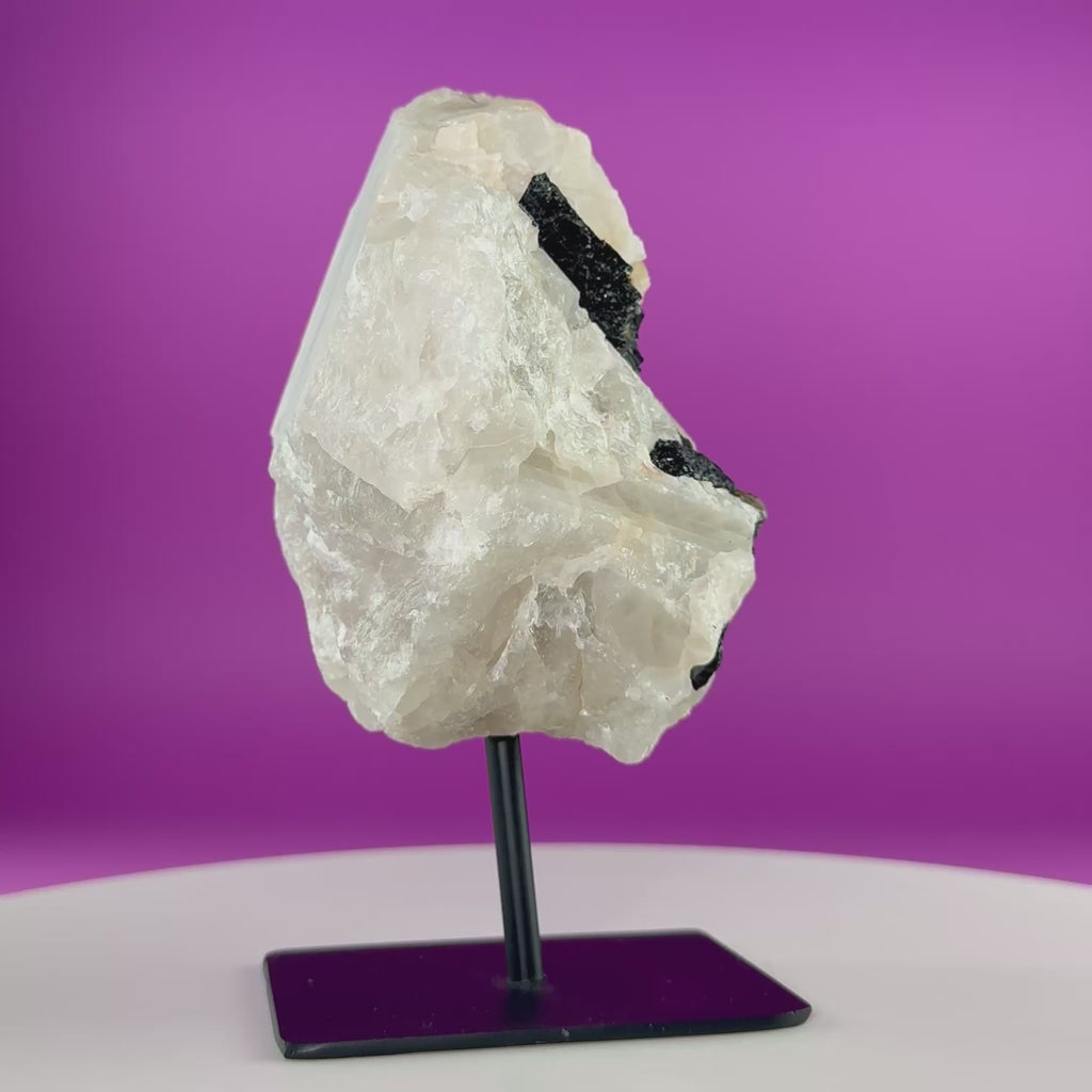 Black Tourmaline in Quartz Matrix on Stand, 1127g Akoni's Misfit Crystal