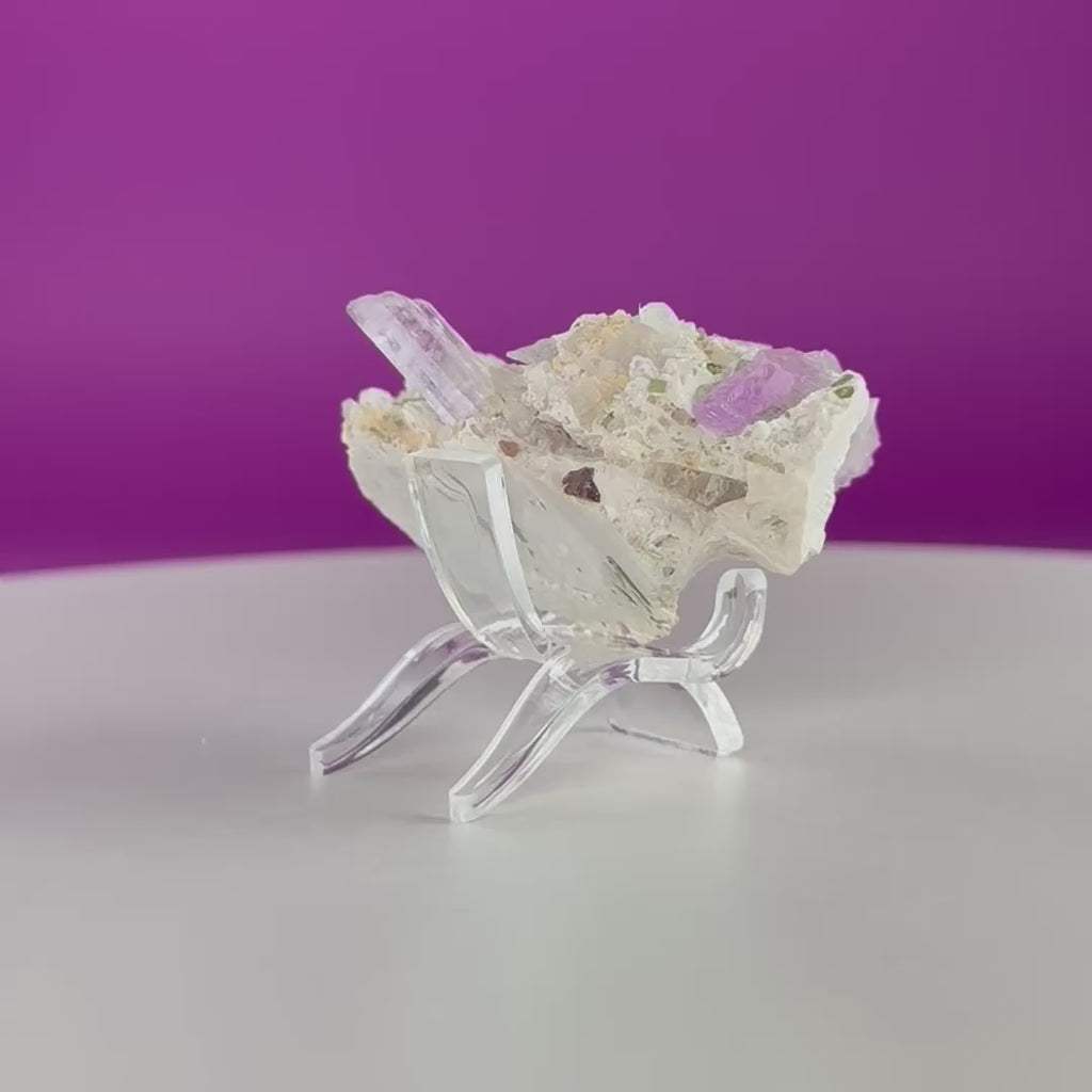 Kunzite with Green Tourmaline in Quartz Specimen with Stand | Collector Crystal Display Piece