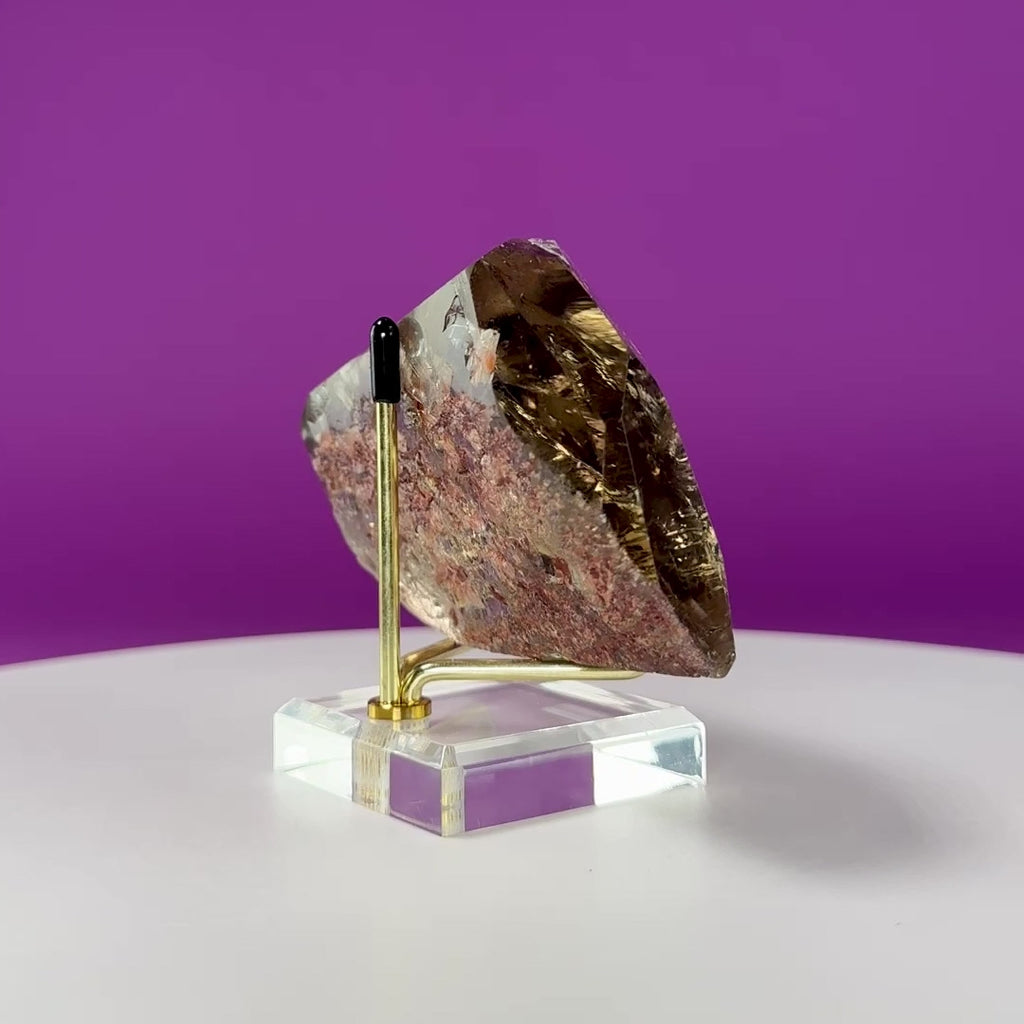Black Rutile Garden Quartz Free Form on Gold Stand | Lodolite Quartz Collector Display Specimen