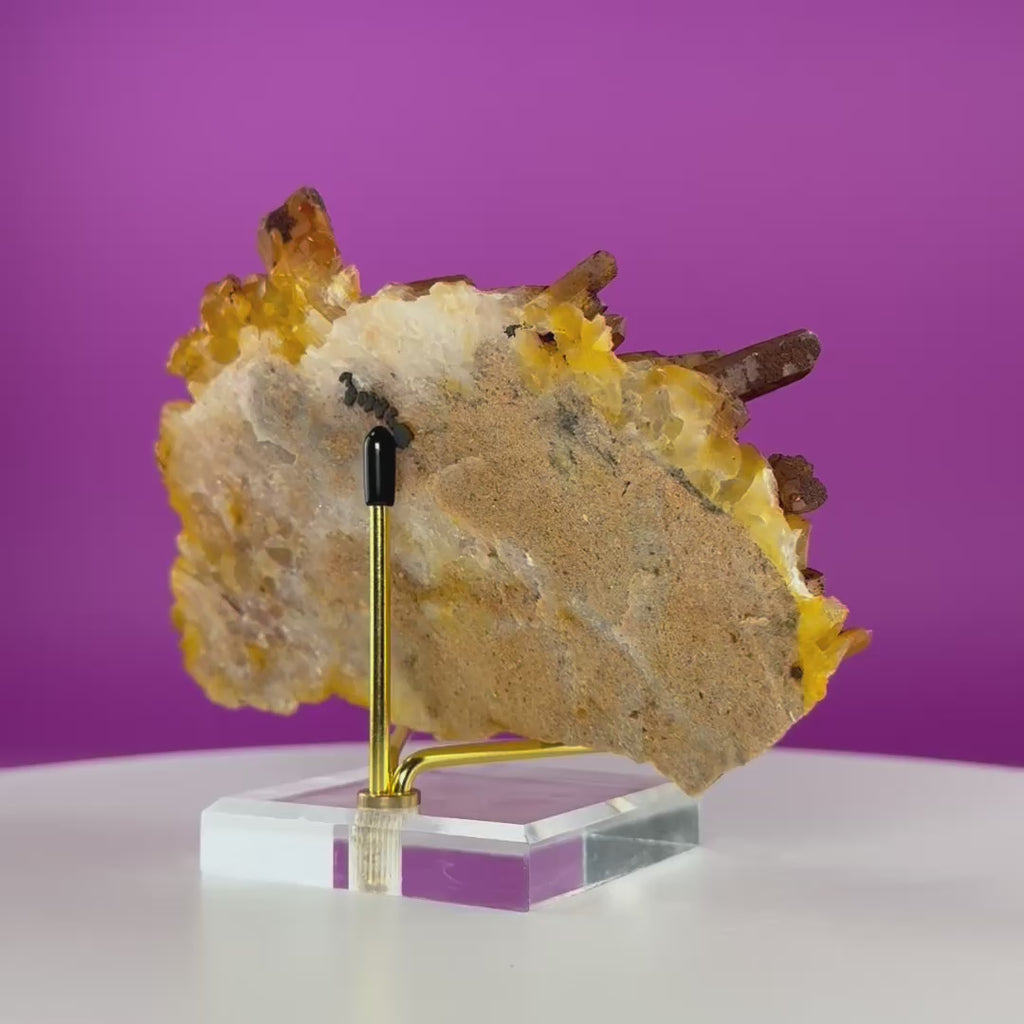 Golden Healer Quartz Cluster from Collier Creek Arkansas with Gold Display Stand