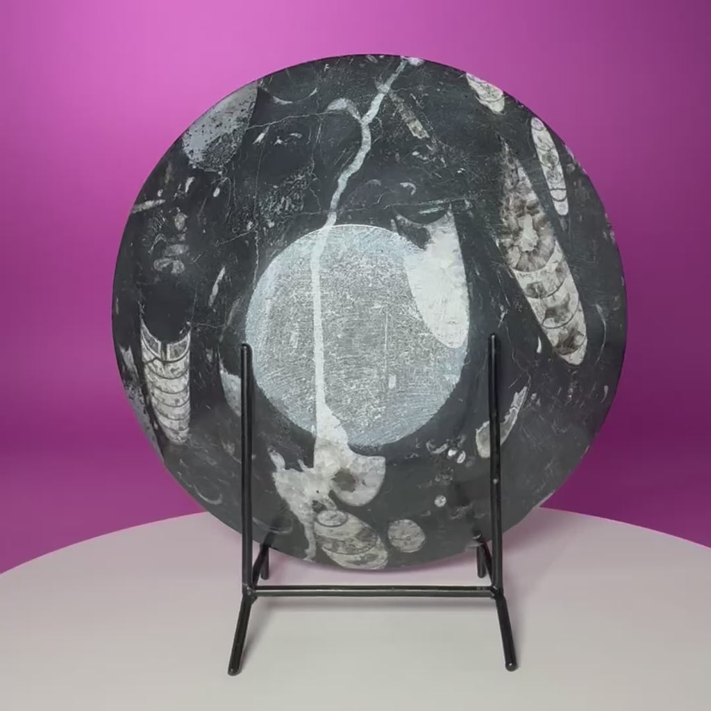 Orthoceras Fossil Bowl Black Limestone Decorative Dish with Stand 748g