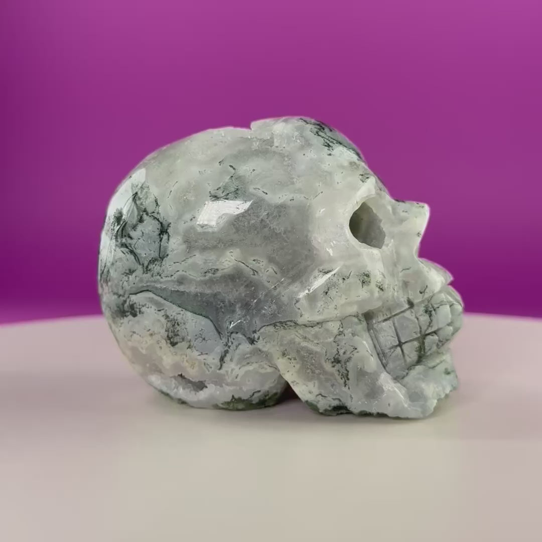 Moss Agate Druzy Skull 501g – Natural Crystal Skull Carving