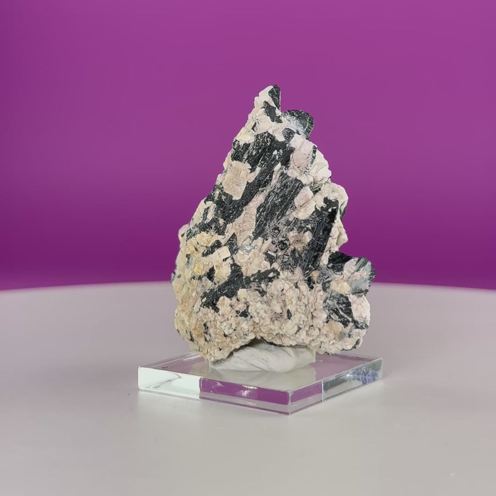 Dravite Tourmaline Crystal Specimen in Matrix – Collector Mineral Display