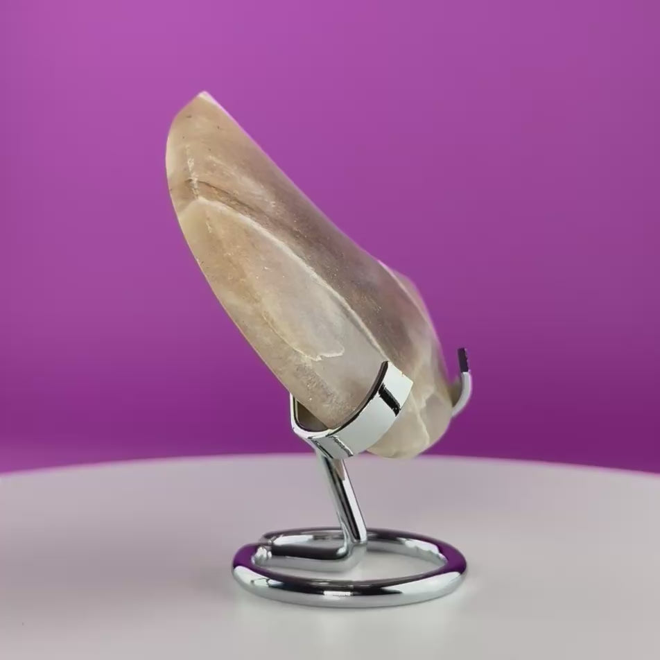 Moonstone Crescent Moon with Silver Metal Display Stand