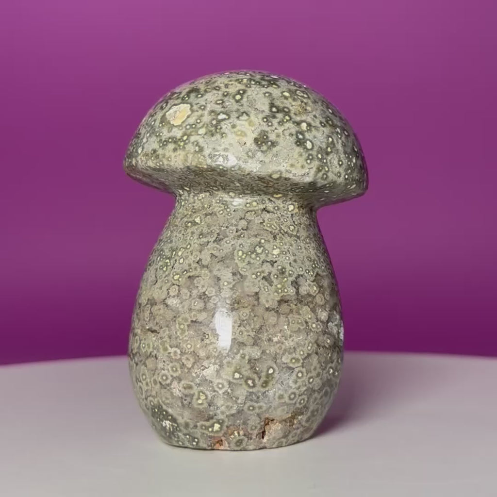7th Vein Ocean Jasper Mushroom Carving | Madagascar
