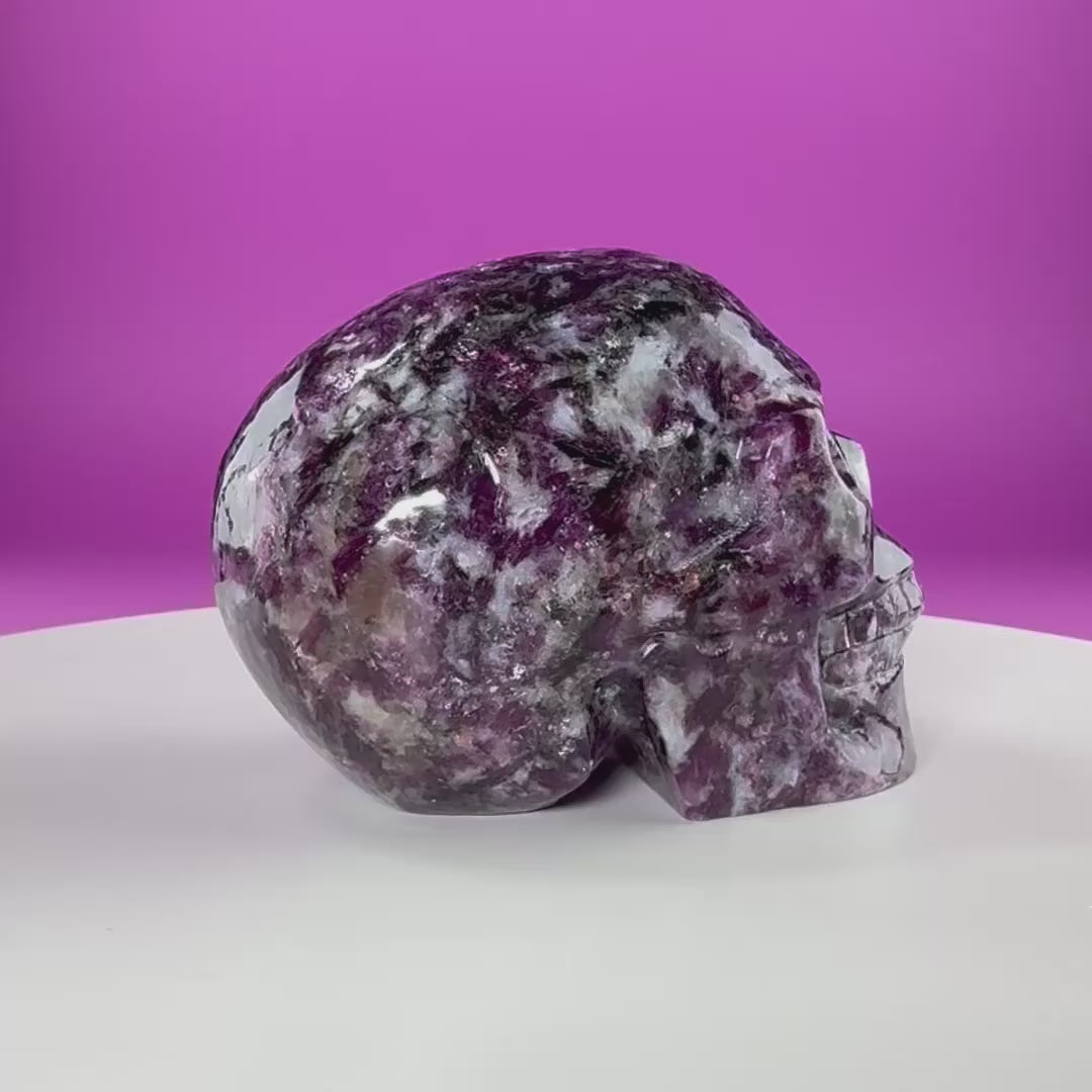 Gem Lepidolite & Smoky Quartz Collector Skull – 1,061g High Gloss