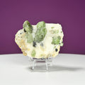 Diopside Specimen (Includes Acrylic Stand)